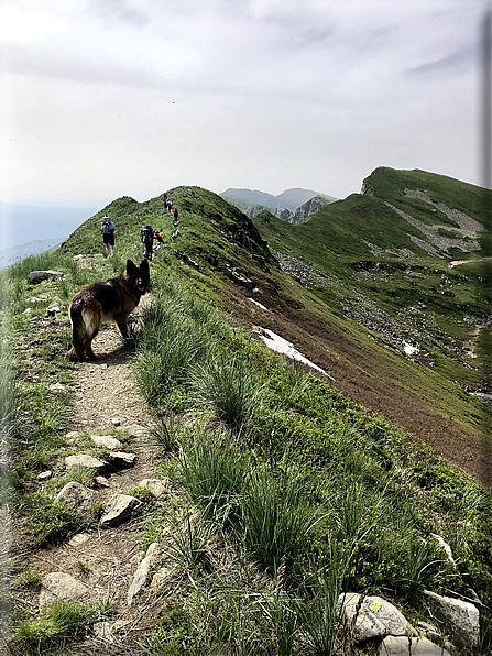 foto Parco dei Cento Laghi